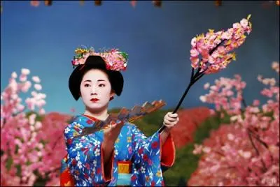 Cette fte clbre le 1er avril au Japon est nomme  Myaco Odori  . Que signifient ces mots ?