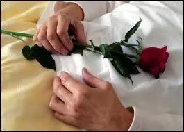 Quel fut le premier pays au monde  lgaliser l'euthanasie le 1er avril 2002 ?