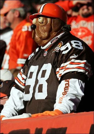 Ce supporter a choisi de se dguiser en ...