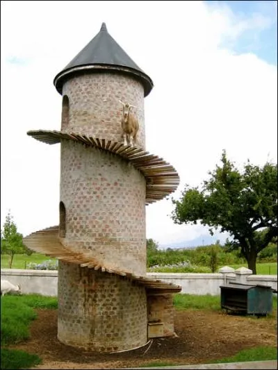 Quel animal, comme soeur Anne, ne voit rien venir ?