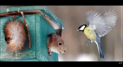 A priori, elle n'apprcie pas trop sa visite !