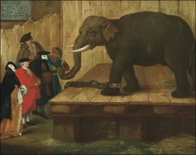  L'lphant  par un minent peintre de la socit vnitienne (1701  1785).