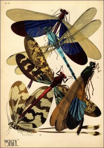  Insectes  par un entomologiste franais (1889-1985) .
