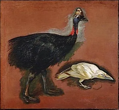  Casoar et corbeau blanc  par un peintre baroque flamand spcialis dans les natures mortes et les reprsentations d'animaux.
