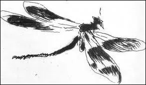  Libellule  au fusain par un peintre franais majeur de la fin du XIXe sicle (1832-1883) dont plusieurs oeuvres firent scandale  son poque.