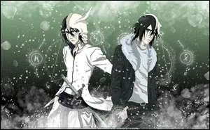 Dans le livre, dans quel pisode voit-on pour la premire fois Ulquiorra ?