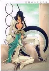 Pourquoi Nnoitra a gravement bless Nel quand elle tait Espada ?