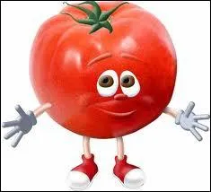 Cette petite tomate a honte :