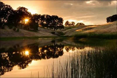 Des trois, c'est le seul qui vit dans cet environnement !