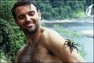 Contrairement  celles d'Amazonie, celles d'Australie peuvent tre mortelles !