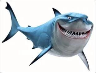 Il fait aussi la voix d'un requin v�g�tarien :