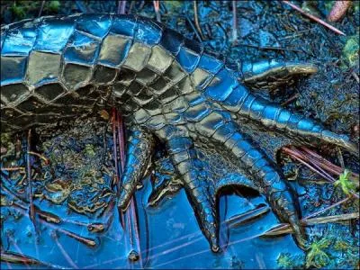 Dans le menu de l'alligator de Floride, on peut trouver ...