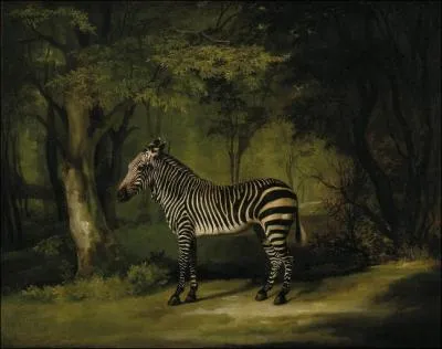  Zebra  vers 1762-1763, par un peintre animalier britannique surnomm le  peintre des chevaux .