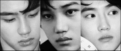 Comment s'appelle leur premier single digital ?