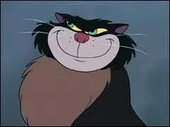 Comment s'appelle le mchant chat ?