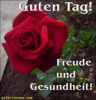 Quelle est cette langue ?