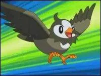 Quel est ce Pokmon ?