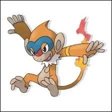 Quel est le nom de ce Pokmon ?