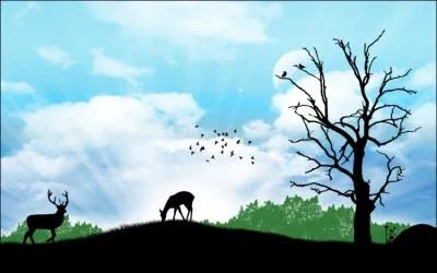 Quel beau paysage. Quel est l'animal prsent ?