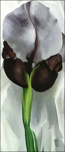 Iris noir, 1933 par une peintre moderniste amricaine majeure, clbre pour ses gros plans de fleurs traits  la limite de l'abstraction. (1887-1986)