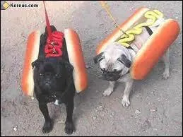 Ce nom leur convient parfaitement :