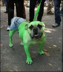 Je ne sais pas , mais lui il est vraiment tomb dans les pommes :