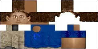 Cela fait-il partie de Minecraft ?