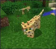 Dans quelle version apparaît-il ?