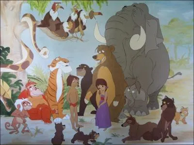 Sur cette image, il y a ...