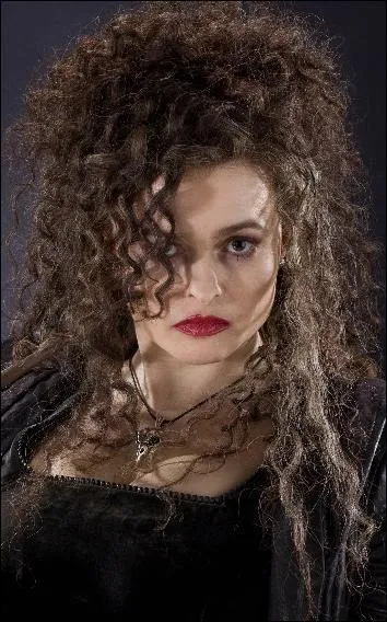 Pourquoi en veut-il  Bellatrix ?
