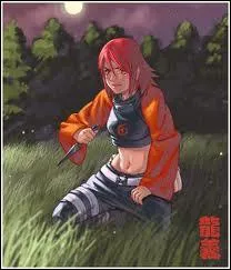 Comment s'appelle ce mode ?