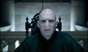 Qui joue Lord Voldemort ?