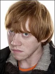 Qui joue Ron Weasley ?