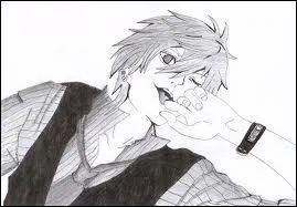 Quelle est la famille des nobles sorciers ?