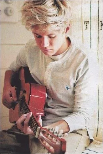 Quelle chanson a interprte Niall lors de son audition pour X Factor ?