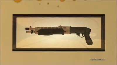 Quelle est cette arme ?