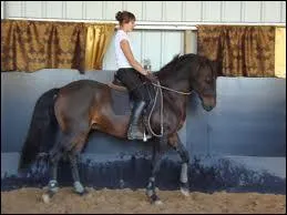 A quelle main nous sommes quand on a la main droite  l'extrieur ?