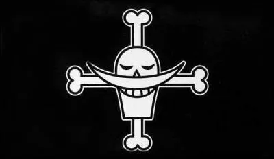 A qui appartient ce drapeau ?