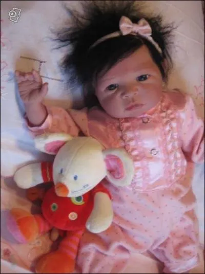 Comment s'appelle l'art qui permet de transformer une poupe de faon  ce qu'elle ressemble le plus possible  un vrai bb ?