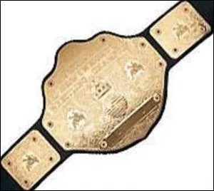 A qui appartient cette ceinture?