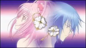 Comment s'appellent ces deux objets ?