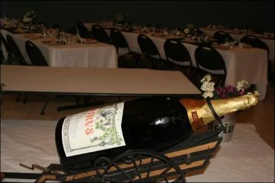 Le NAbuchodonosor est une bouteille d'une contenance de 15 litres. C'est--dire l'quivalent de...