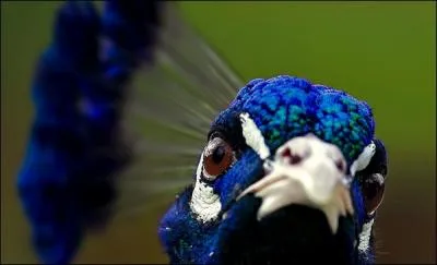 Il n'a pas invent la roue, mais il la fait !