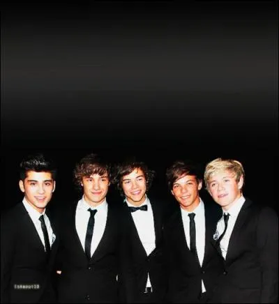 5 chanteurs et un guitariste, qui ?