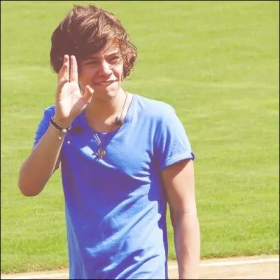 Quelle est la particularit de Harry ?