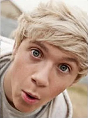 Niall n'est pas Anglais, il est...