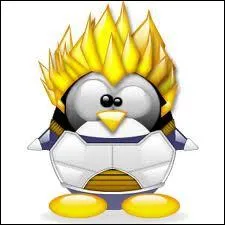 Quel nom conviendrait  ce Tux ?