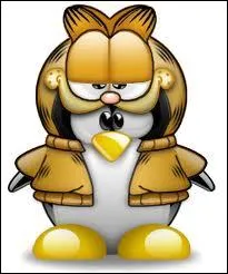 Quel nom conviendrait  ce Tux ?