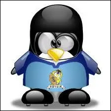 Quel nom conviendrait  ce Tux ?