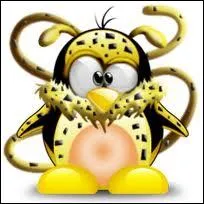 Quel nom irait  ce Tux ?